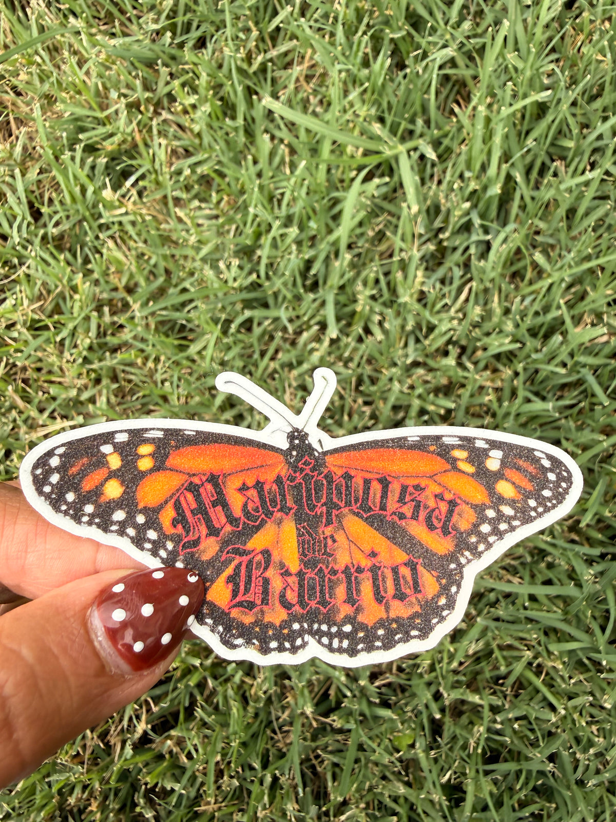 Die cut sticker - Mariposa de Barrio